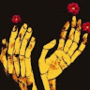 Meet your Posher, Natascha